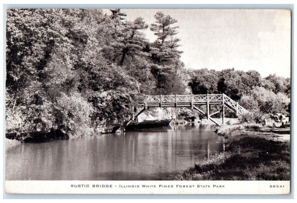 1949 Rustic Bridge River Lake Illinois IL White Pines Forest State Park Postcard