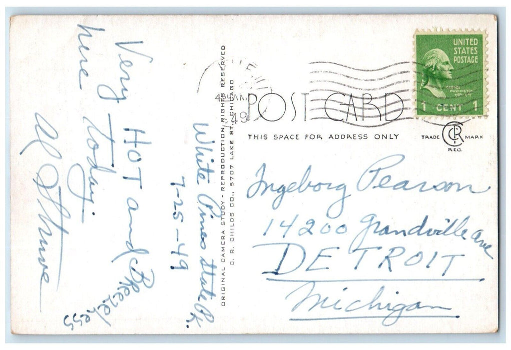 1949 Rustic Bridge River Lake Illinois IL White Pines Forest State Park Postcard