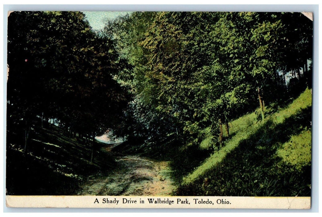 1910 Shady Drive Walbridge Park  Road Trees Toledo Ohio Vintage Antique Postcard