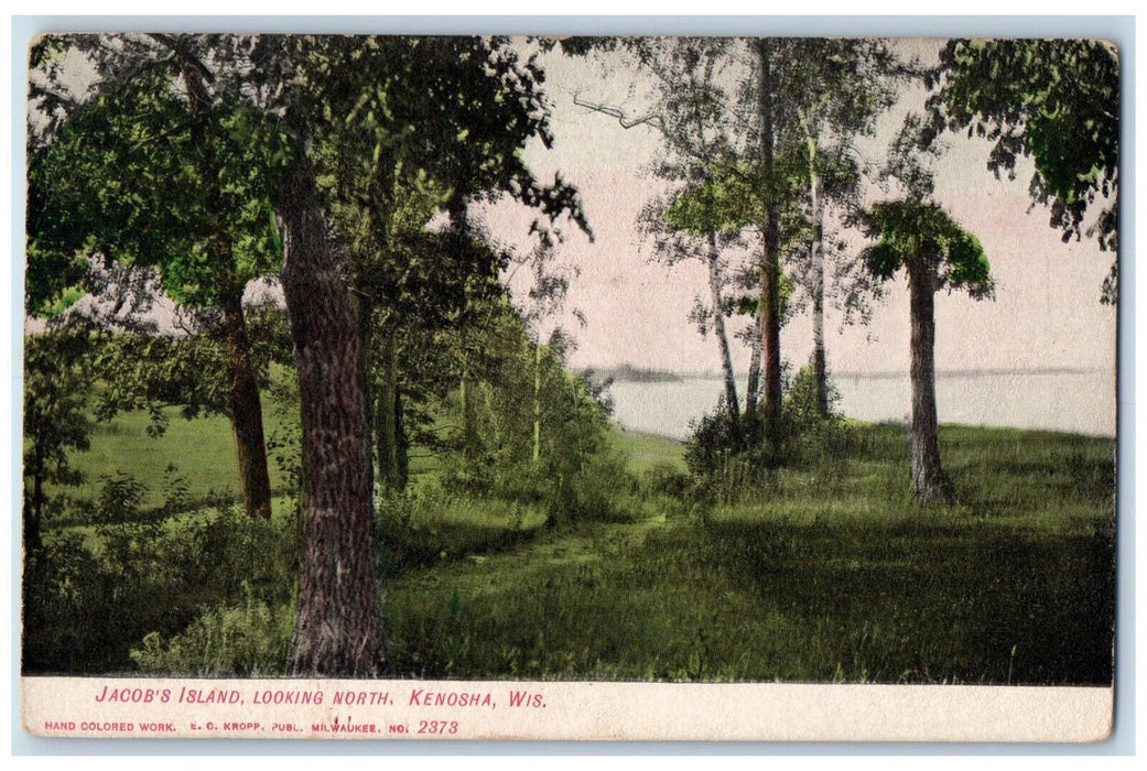 c1905 Jacob's Island Looking North Kenosha Wisconsin WI Antique Postcard