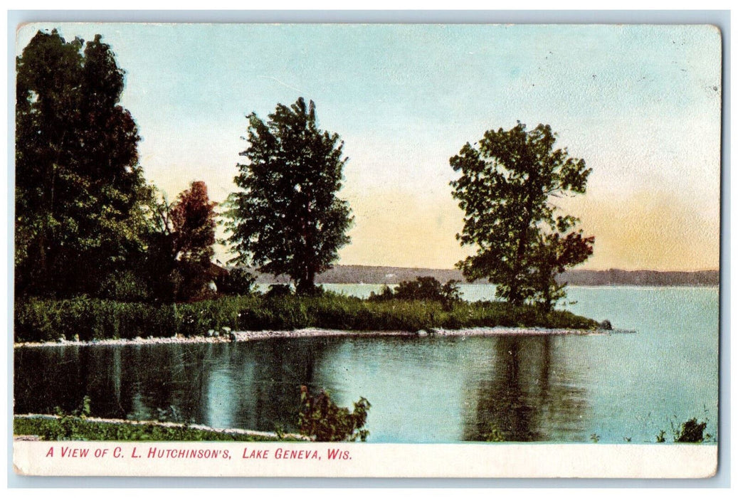 c1905 A View of C.L. Hutchinson's Lake Geneva Wisconsin WI Antique Postcard