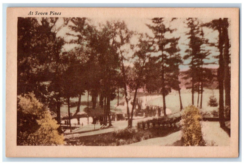 c1940's At Seven Pines Lewis Wisconsin WI Unposted Vintage Postcard