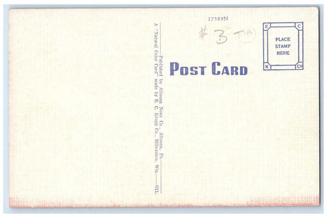 c1940's Eleventh Ave. From 18th to 11th St. Business Section Altoona PA Postcard