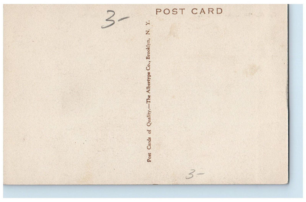 c1910 Phi Gamma Delta Fraternity House Lafayette College Easton PA Postcard