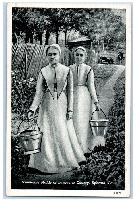c1950's Mennonite Maids of Lancaster County Ehprata Pennsylvania PA Postcard