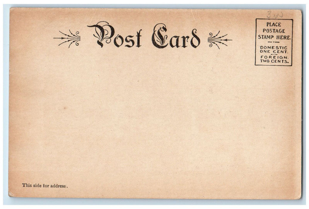 c1940's Highland Park Brockton Massachusetts MA Vintage Unposted Postcard