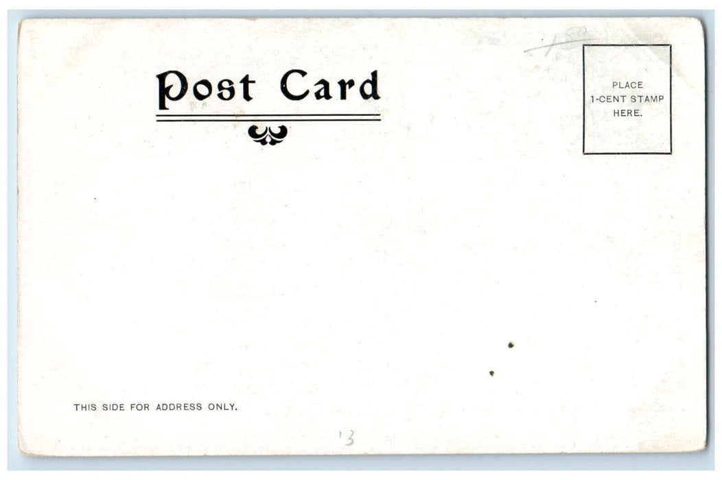 c1905 Wales Home For Aged Ladies Brockton Massachusetts MA Antique Postcard