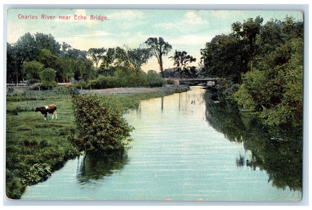 c1910 Charles River Near Echo Bridge Needham Massachusetts MA Antique Postcard