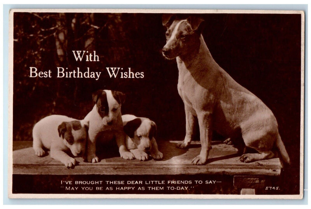 c1920's Terrier Dog Birthday Wishes Puppies England RPPC Photo Postcard