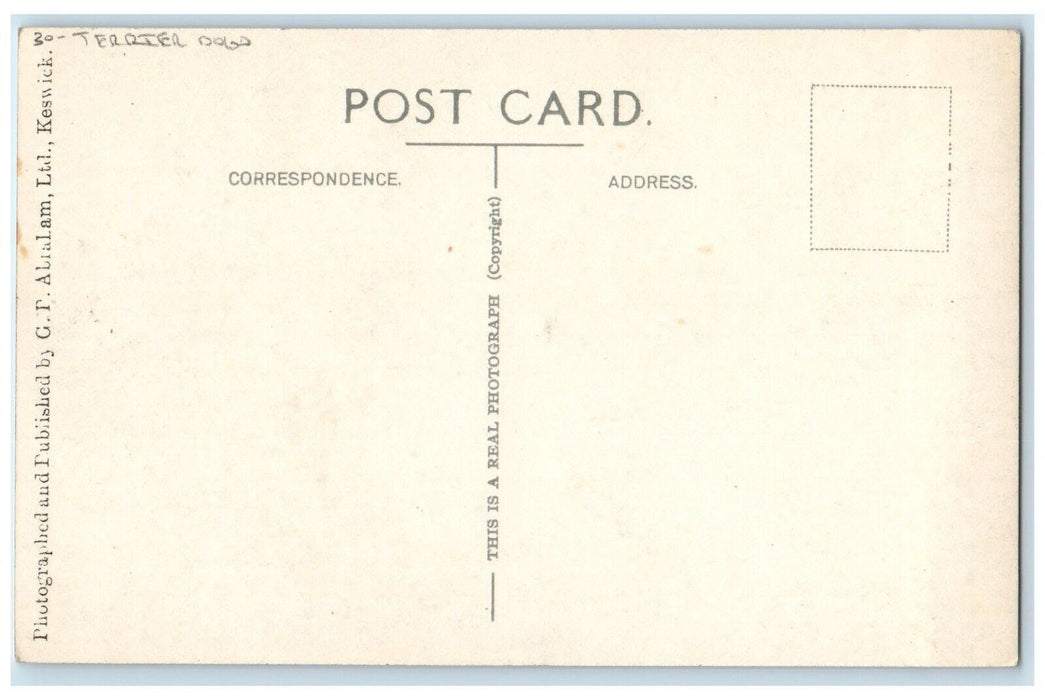 c1930's Terrier Dogs Boat Lake "Where's That Boatman?" RPPC Photo Postcard