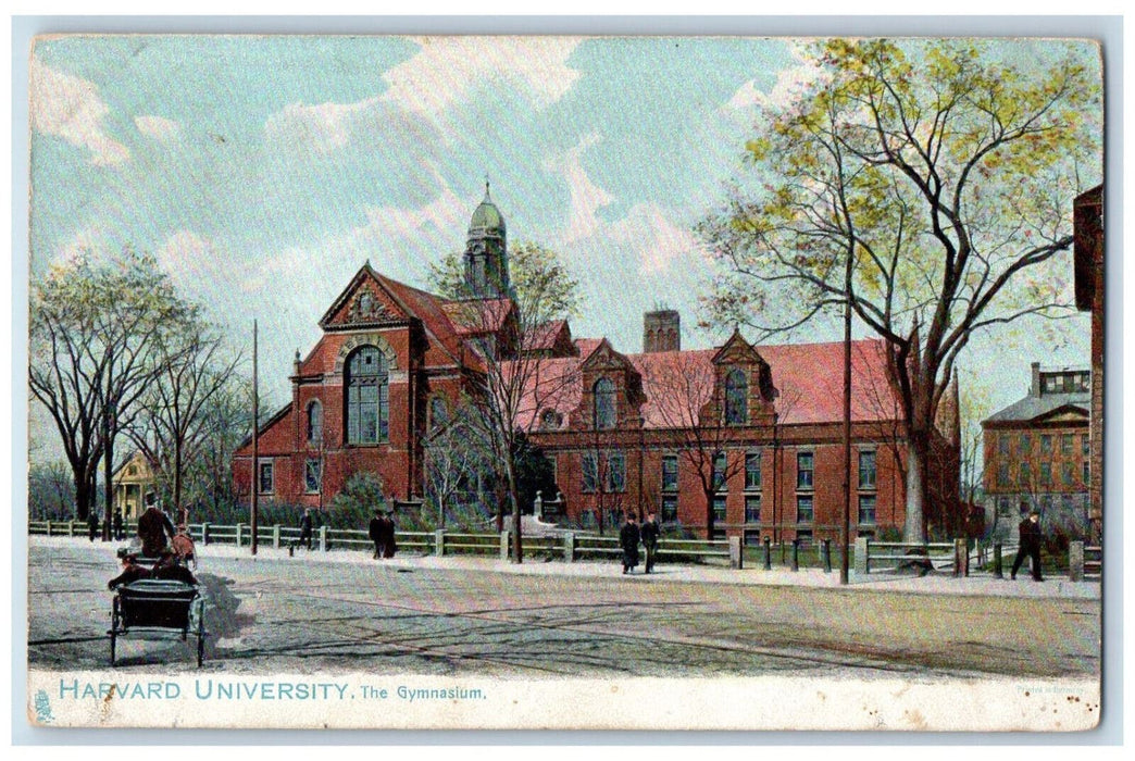 c1905 The Gymnasium Harvard University Cambridge MA Tuck Art Antique Postcard