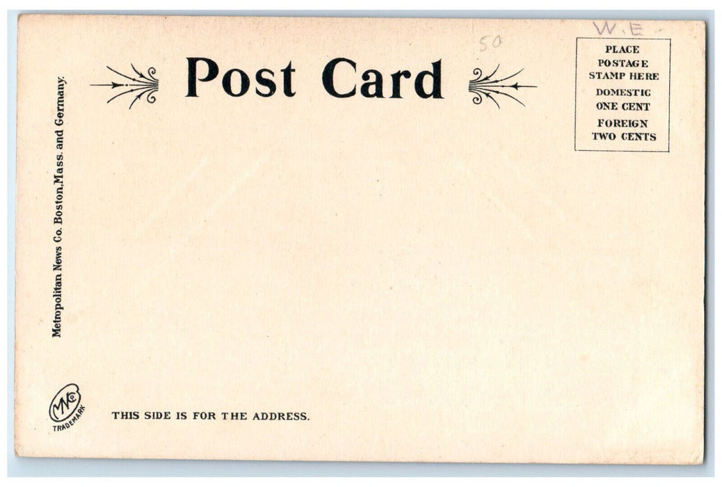 c1905 Washington Elm, Cambridge Massachusetts MA Antique Unposted Postcard