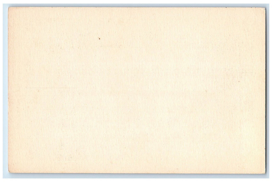 1915 Widener Library Harvard University Massachusetts MA Antique Postcard