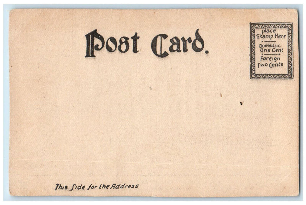 c1905 Longfellows Home Cambridge Massachusetts MA Antique Unposted Postcard