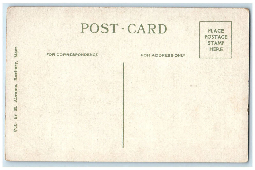 c1930's Larz Anderson Bridge from the Cambridge Massachusetts MA Postcard