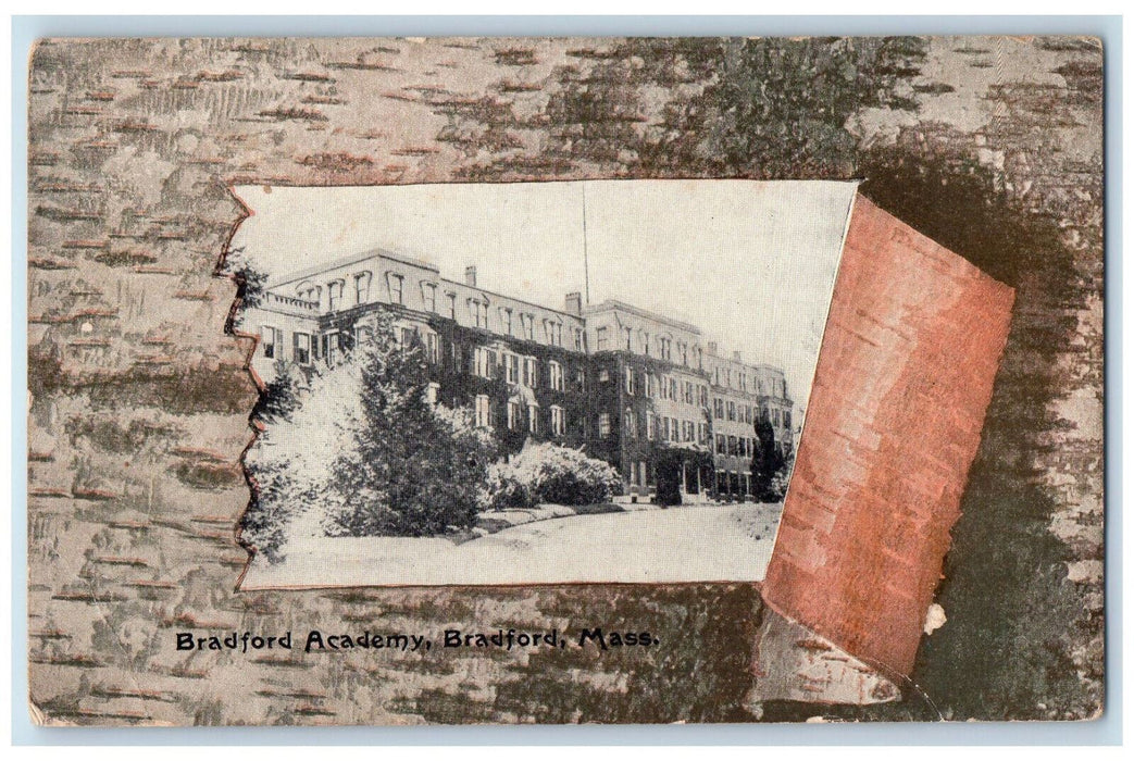 1907 Bradord Academy Bradford Massachusetts MA Ripped Tree Bark Postcard