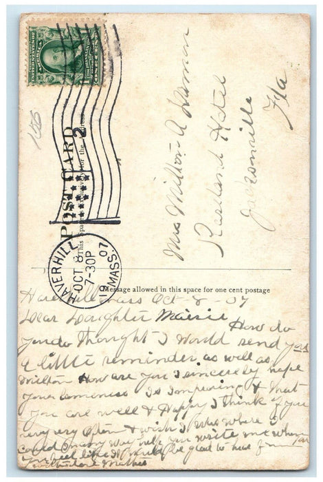 1907 Bradord Academy Bradford Massachusetts MA Ripped Tree Bark Postcard