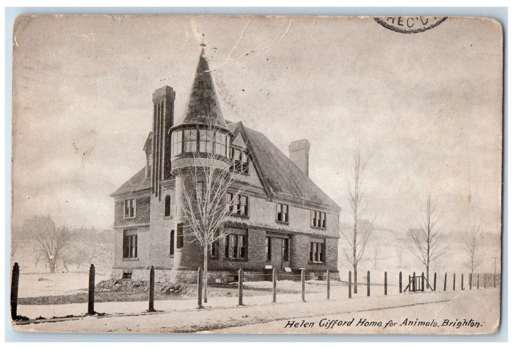 1908 Helen Gifford Home for Animals Brighton Massachusetts MA Antique Postcard
