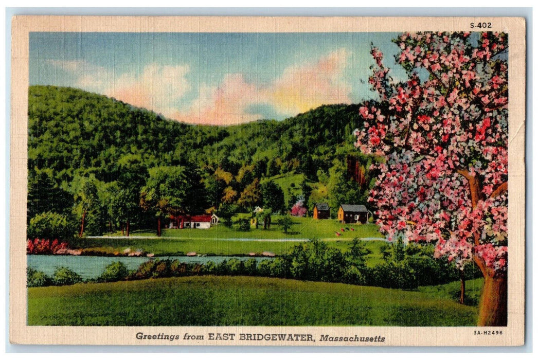 1940 Pink Flower Tree Greetings from East Bridgewater Massachusetts MA Postcard