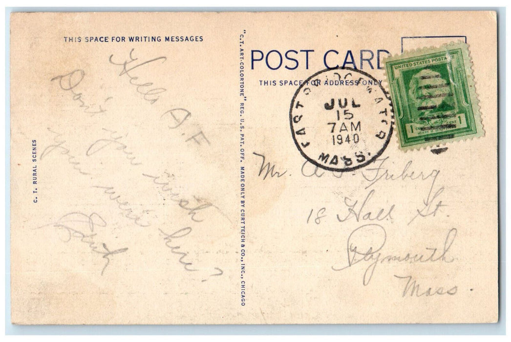 1940 Pink Flower Tree Greetings from East Bridgewater Massachusetts MA Postcard