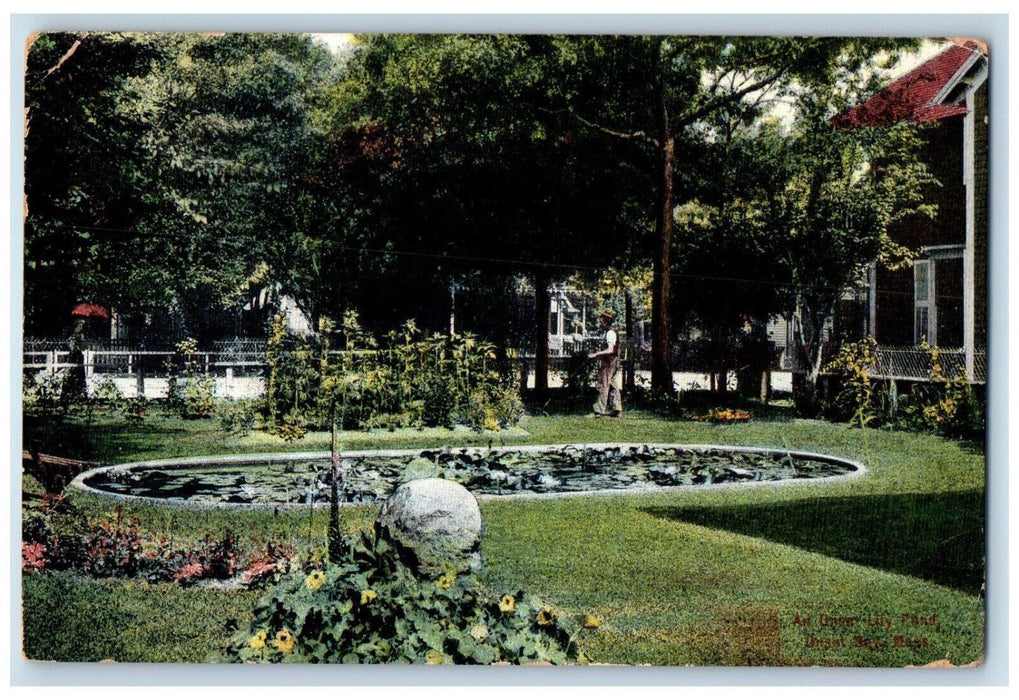 c1910 An Onset Lily Pond, Onset Bay, Massachusetts MA Antique Postcard