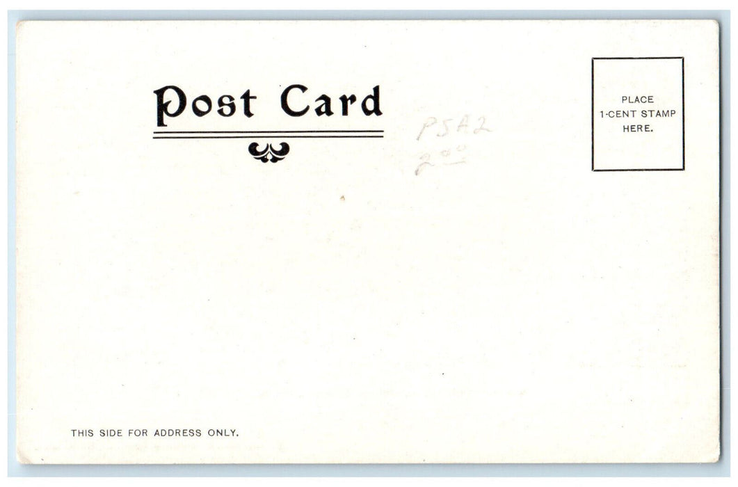 c1905 Residence of Gov. William L Douglas Massachusetts MA Antique Postcard