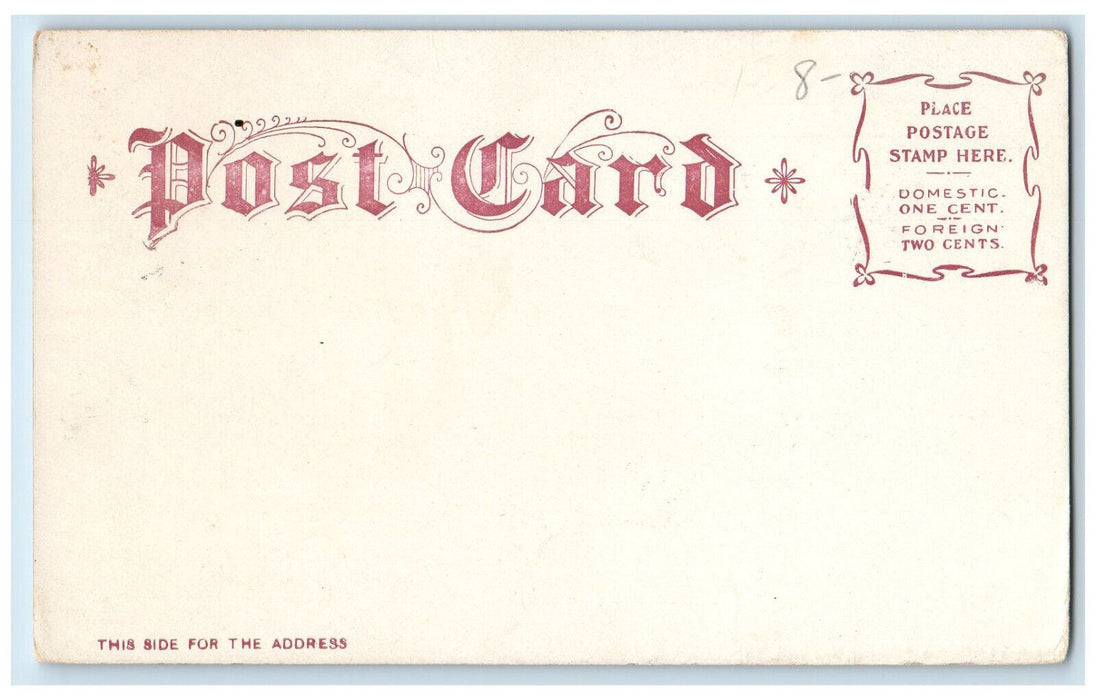c1905 Free Public Library Jersey City NJ Unposted Arthur Livingston Postcard