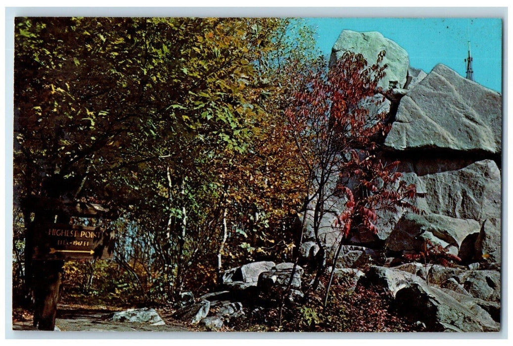 c1960 View Rib Mountain State Park Rock Wausau Wisconsin WI Antique Postcard