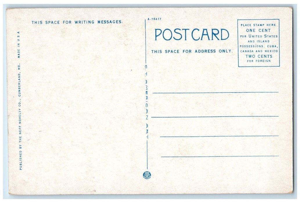 c1930's Lover's Leap In The Narrows Cumberland Maryland MD Vintage Postcard