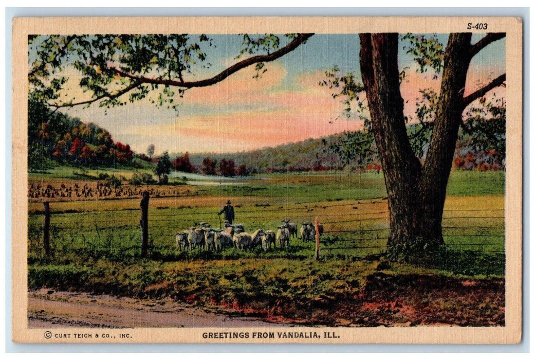 1945 Greetings From Vandalia Illinois IL, Farm And Sheep Vintage Postcard