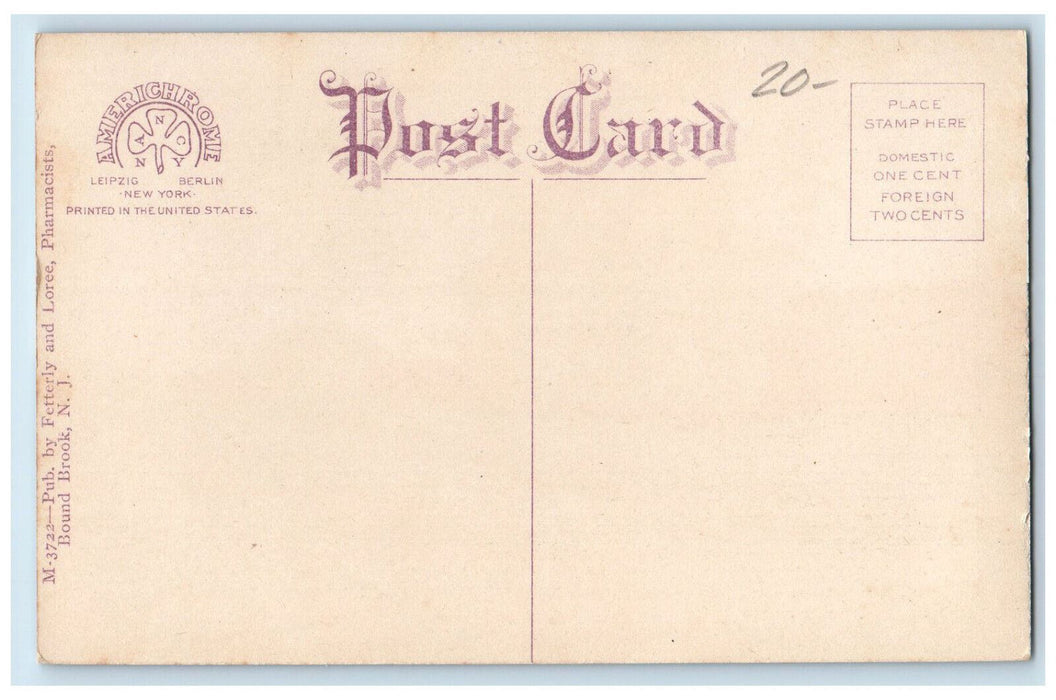 c1910 Railway Lehigh Valley Station Bound Brook New Jersey NJ Antique Postcard