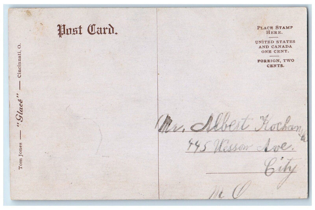 c1910's Band Concert Belle Isle Canoe Boat Detroit Michigan MI Antique Postcard