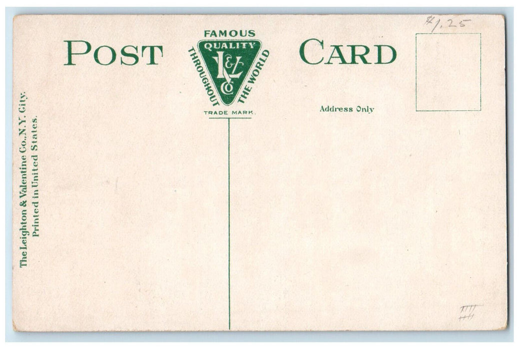 c1910 Church of the Brethren St. Belvidere York Pennsylvania PA Postcard