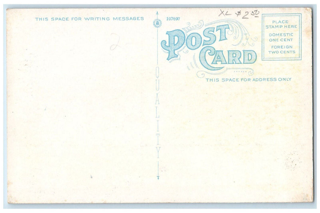 c1920's York High School York Pennsylvania PA Antique Unposted Postcard