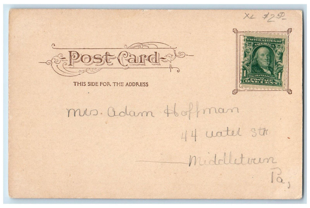 c1905 High School York, Pennsylvania PA Antique Souvenir Postcard Co. Postcard