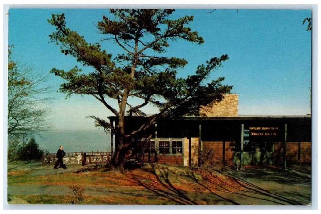 c1950's Skyland Dining Room Restaurant Shenandoah National Park VA Postcard