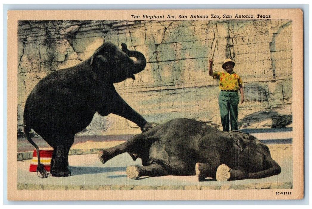 c1930's The Elephant Act San Antonio Zoo, San Antonio Texas TX Vintage Postcard