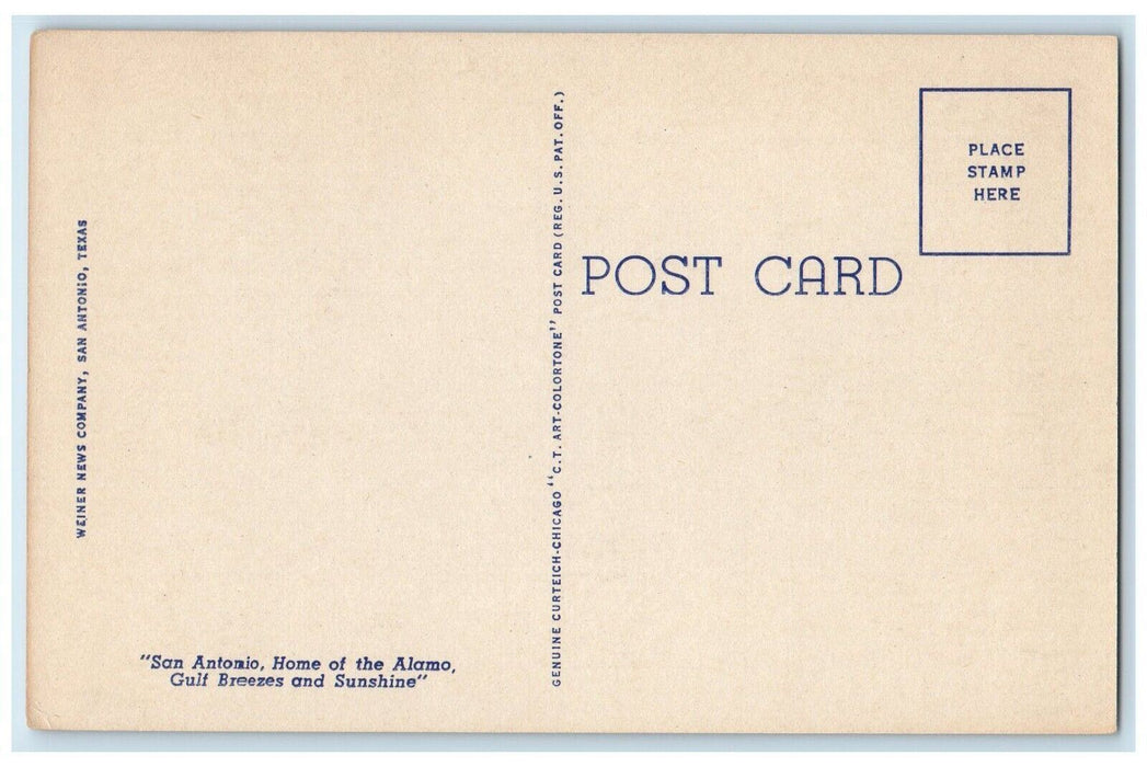 c1930's The Elephant Act San Antonio Zoo, San Antonio Texas TX Vintage Postcard
