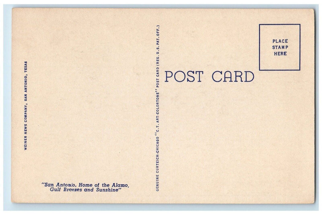 c1930's Zebra San Antionio Zoo, San Antonio Texas TX, Animals Vintage Postcard