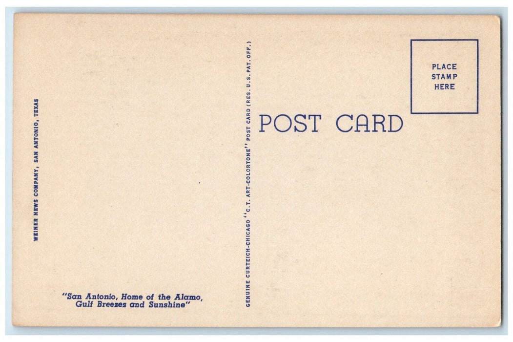 c1930's Lions San Antonio Zoo, San Antonio Texas TX, Animals Vintage Postcard