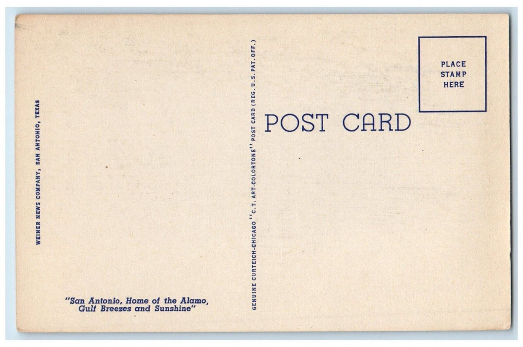 c1940's Greater Kudu San Antonio Zoo, San Antonio Texas TX Vintage Postcard