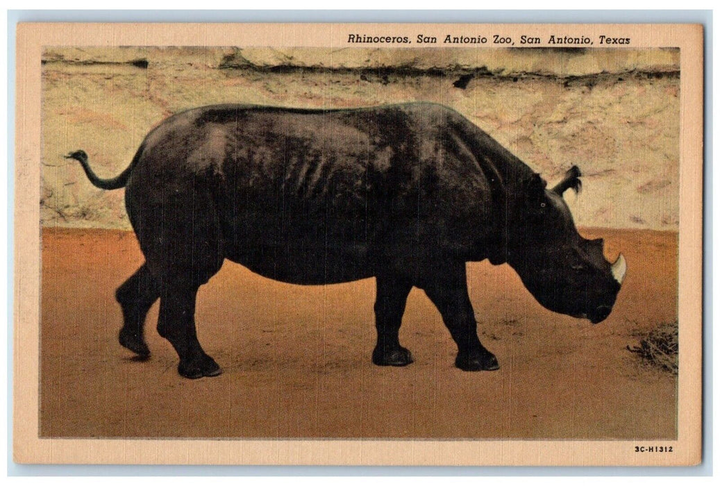 c1930's Rhinoceros San Antonio Zoo, San Antonio Texas TX Vintage Postcard