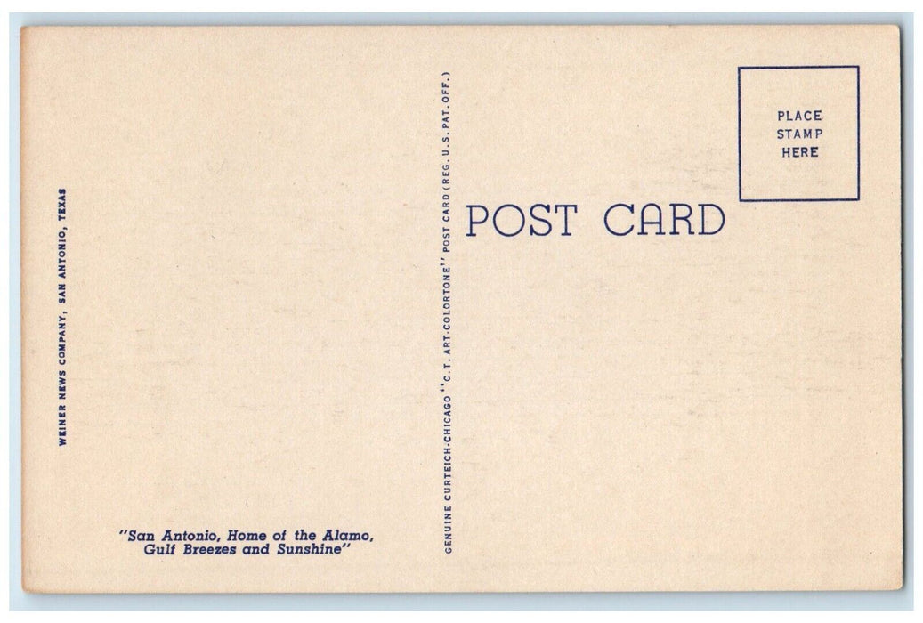 c1930's Rhinoceros San Antonio Zoo, San Antonio Texas TX Vintage Postcard