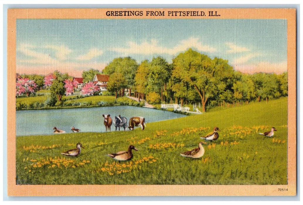 c1940's Ducks Bucks River Greetings from Pittsfield Illinois IL Postcard