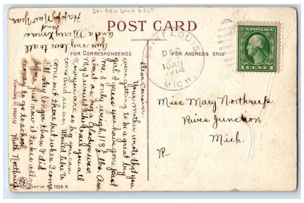 1914 Christmas Birds Holly Berries Winter Snow Gel Gold Gilt Embossed Postcard