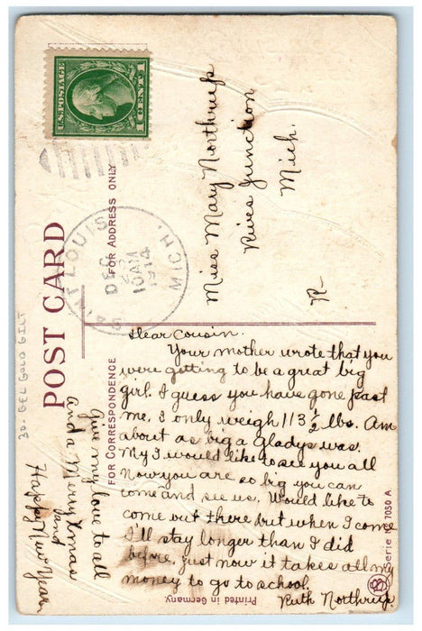 1914 Christmas Birds Holly Berries Winter Snow Gel Gold Gilt Embossed Postcard