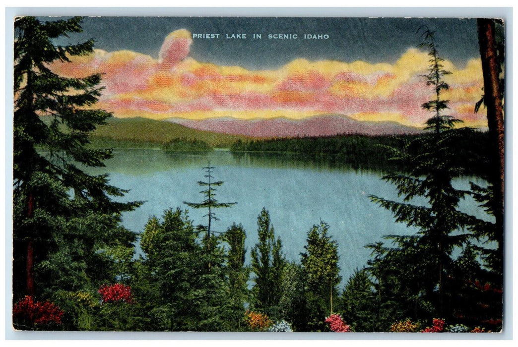 c1950s Forested Mountains Priest Lake in Scenic Idaho ID Posted Vintage Postcard