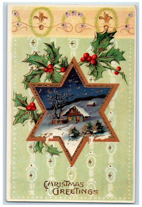 c1910's Christmas Greetings Winter Snow Holly Gel Gold Gilt Embossed Postcard
