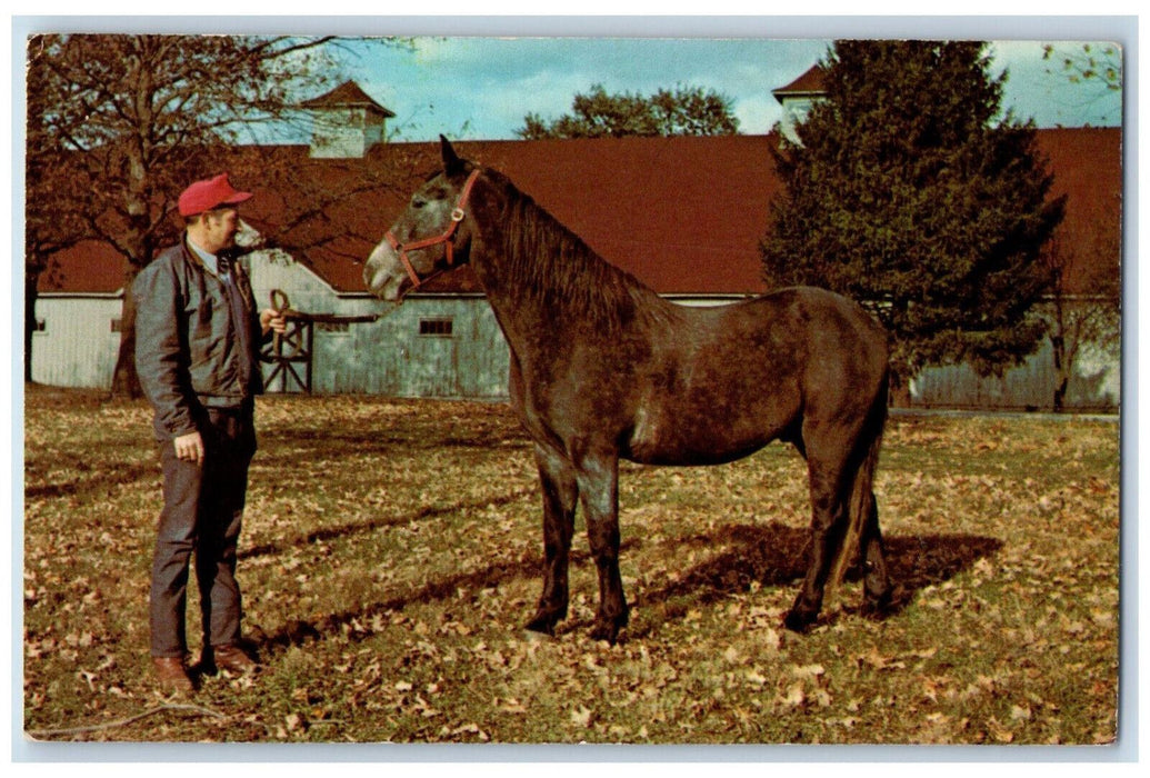 c1960's Enjoy Horseback Riding Kentucky State Horse Park Lexington KY Postcard