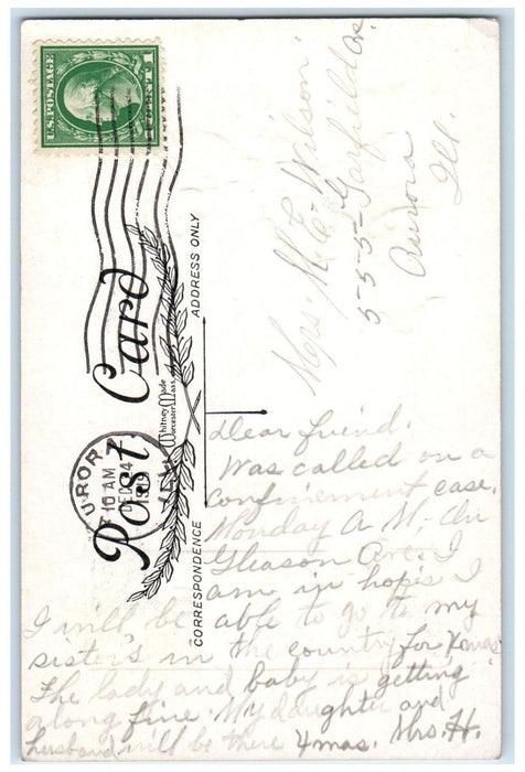 1919 New Year Holly Berries House Winter Snow Aurora Illinois IL Postcard